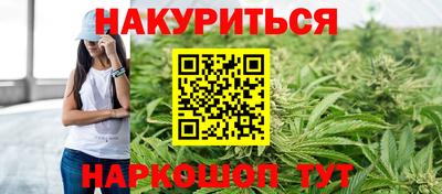 гидра Ставрополь