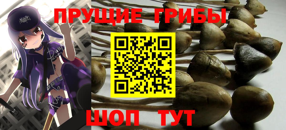 Нягань  Галлюциногенные грибы Psilocybine cubensis  Вход с VPN  Псилоцибиновые грибы Cubensis 