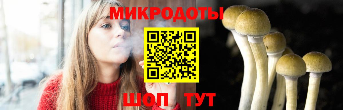 Галлюциногенные грибы MAGIC MUSHROOMS Нягань